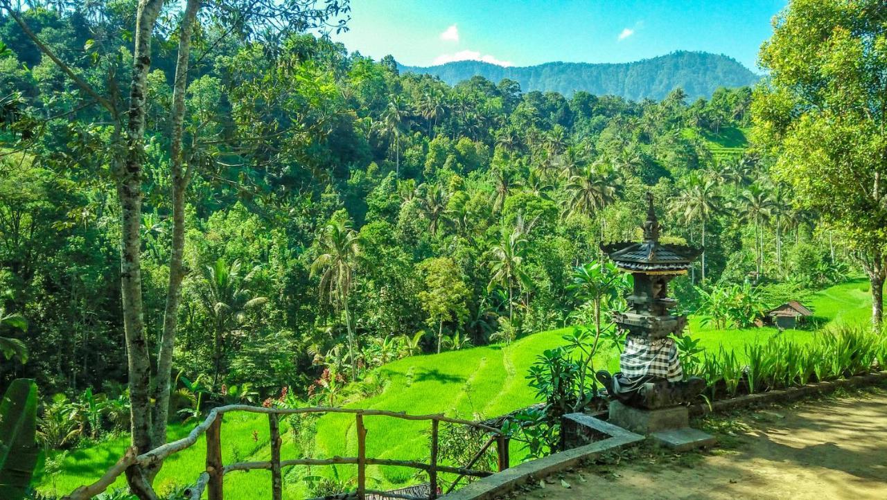 Buda'S Homestay Lemukih Pabean Buleleng Eksteriør bilde